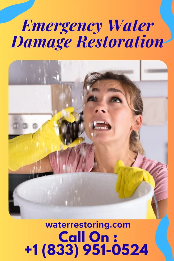 Emergency Water Damage Restoration in Lynnwood, WA